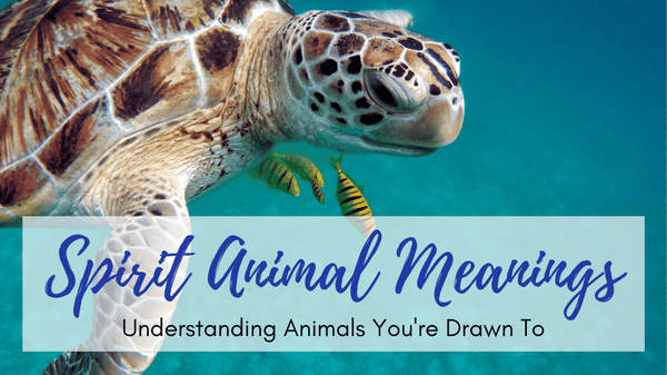 Spirit Animal Meanings