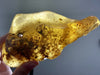 "MYSTERIES OF MOTHER NATURE" Natural Amber Specimen 7.00 Spectacularly Rare Mineral High Quality A-3