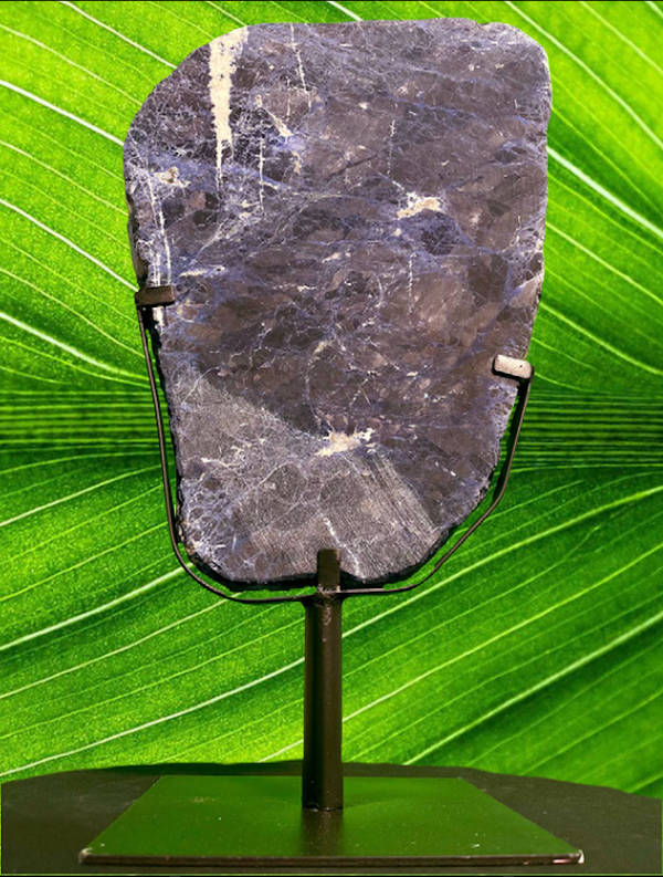 "WILD BLUE" High Quality Sodalite Specimen 22.50" Tall SS-12