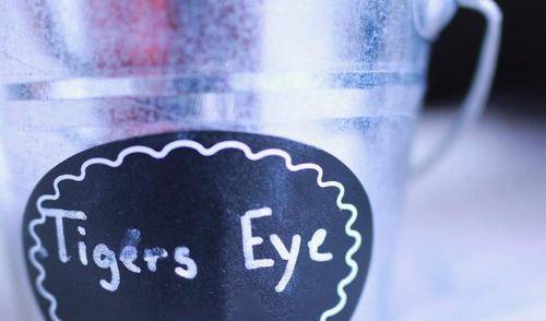 Tiger’s Eye Tumbled Stone-Cosmic Cuts